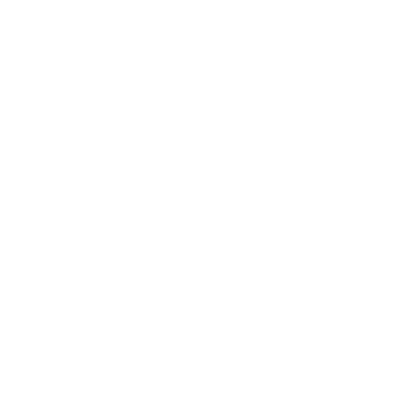 ISO icon